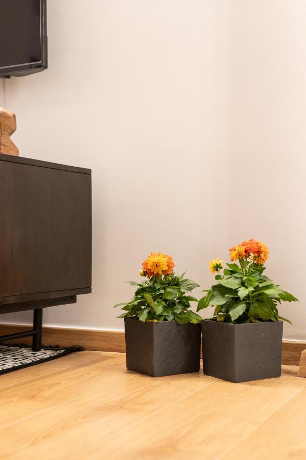 Acropolis Exclusive Apartment Atene Esterno foto
